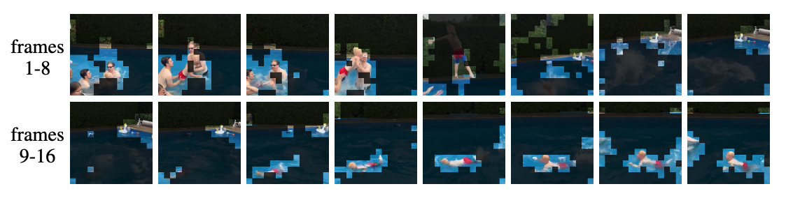 LookWhen token selection on a diving video